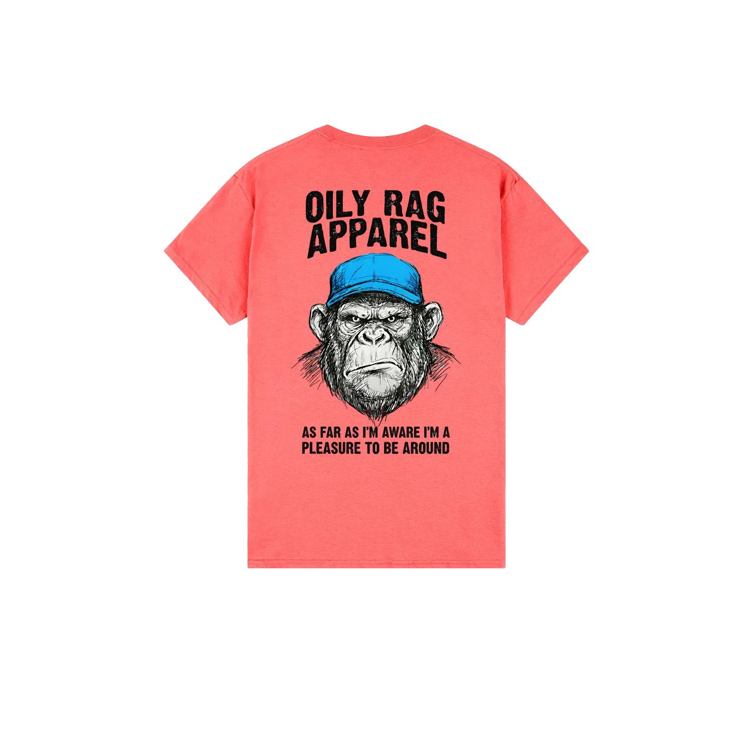 Coral Silk back flat lay