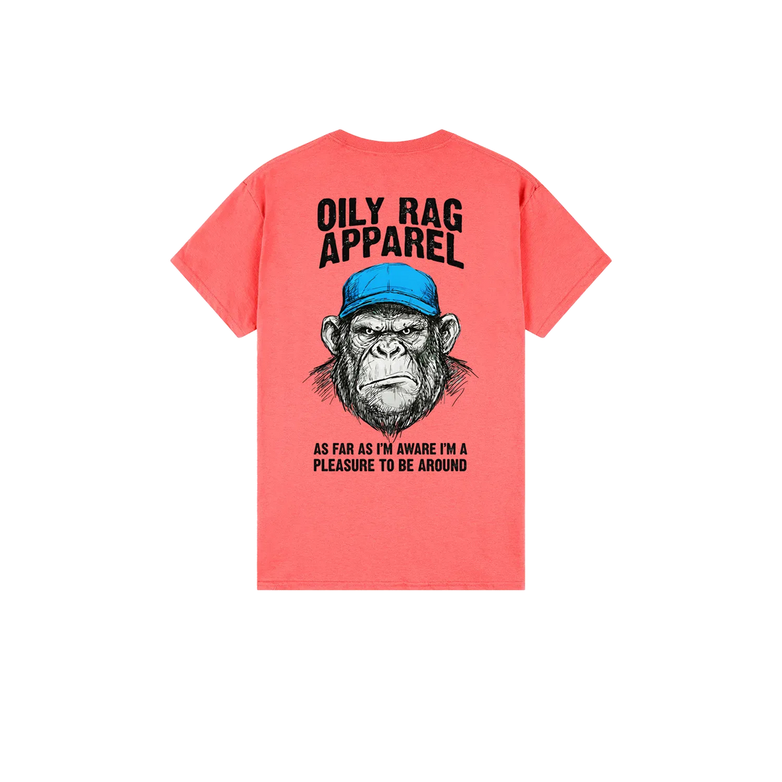 Coral Silk back flat lay