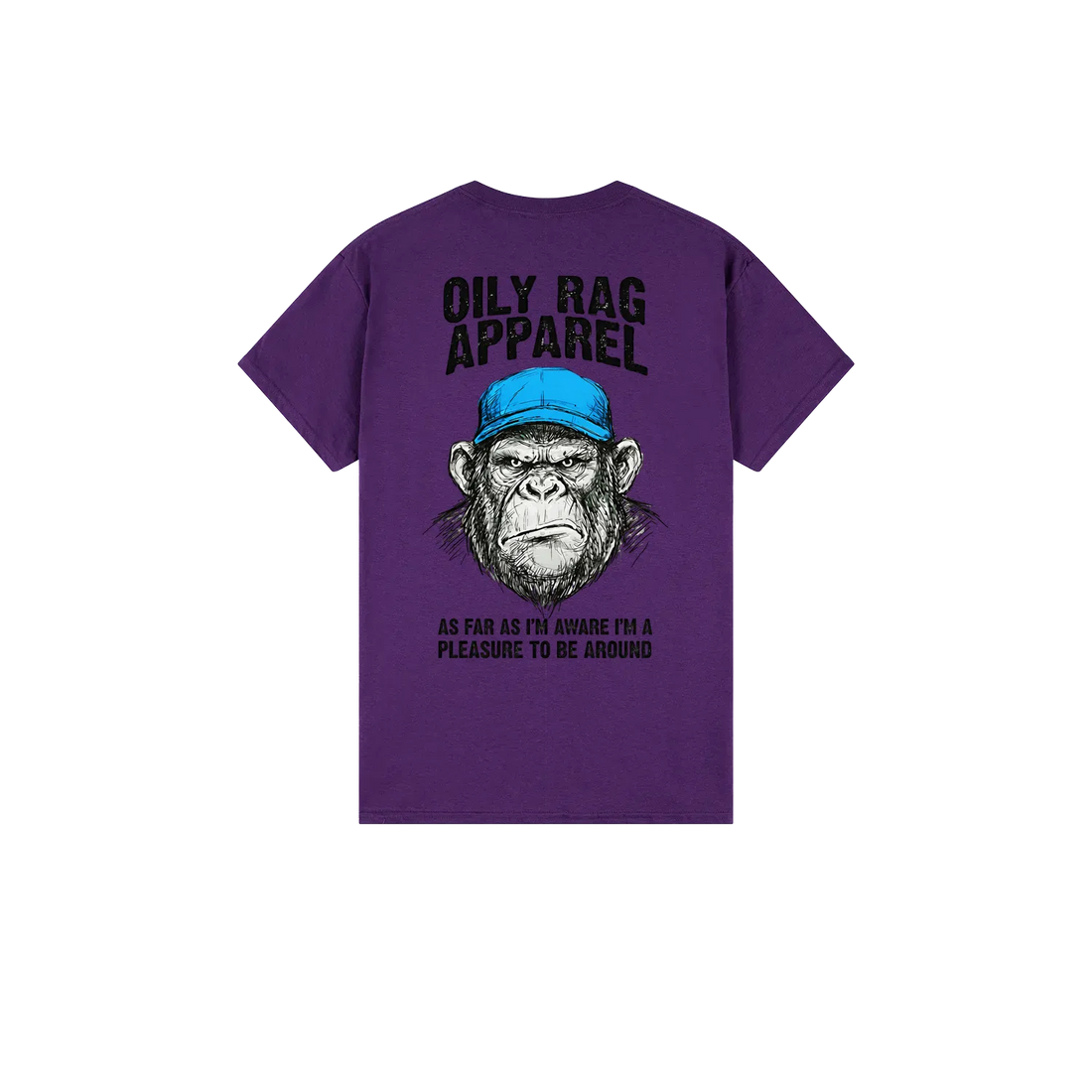 Purple back flat lay